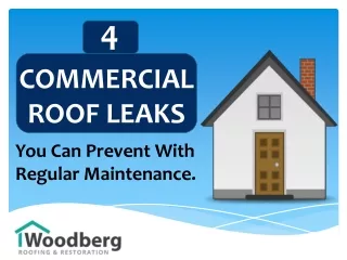 4 COMMERCIAL ROOF LEAKS