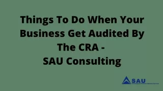 things to do when your business get audited
