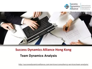 Team Dynamics Analysis -Success Dynamics Alliance Hong Kong