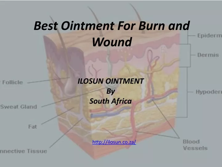 b est ointment for burn and wound