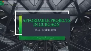 call 9250933999