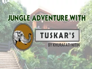 Jungle Adventure At Tuskars | Jungle Safari In Jim Corbett | Jim Corbett Resorts