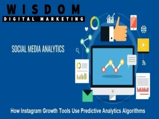 Instagram growth tool use - Wisdom Digital Marketing