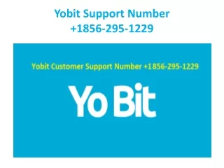yobit support number 1856 295 1229