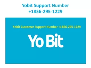 yobit support number 1856 295 1229