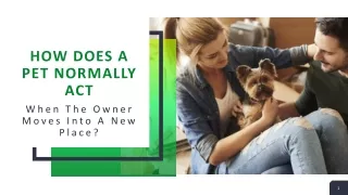 how does a pet normally act