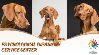psychological disability service center