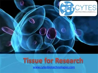 Tissue for Research Human and Animal | Cytes Biotechnologies S.L.