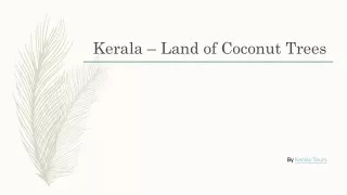 Kerala - Land of Coconut Trees