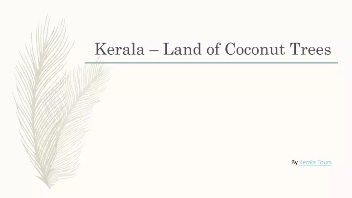 kerala land of coconut trees