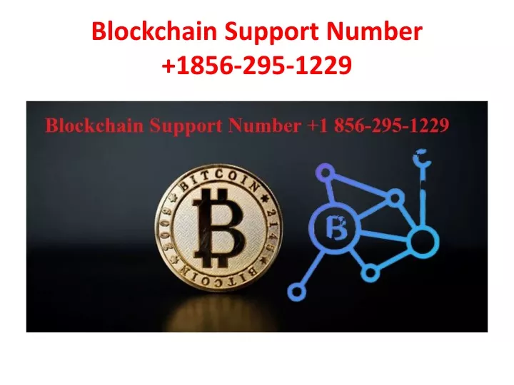 blockchain support number 1856 295 1229