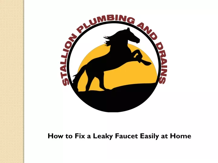 how to fix a leaky faucet easily at home