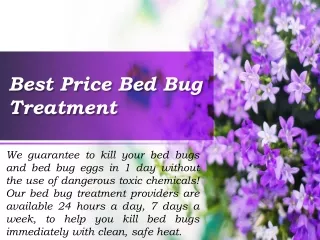 best price bed bug treatment