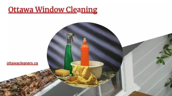 ottawa window cleaning