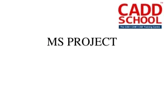 ms project