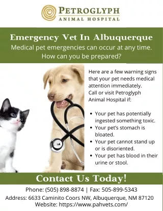 About Emergency Vet Albuquerque | Pahvet Animal Hospital