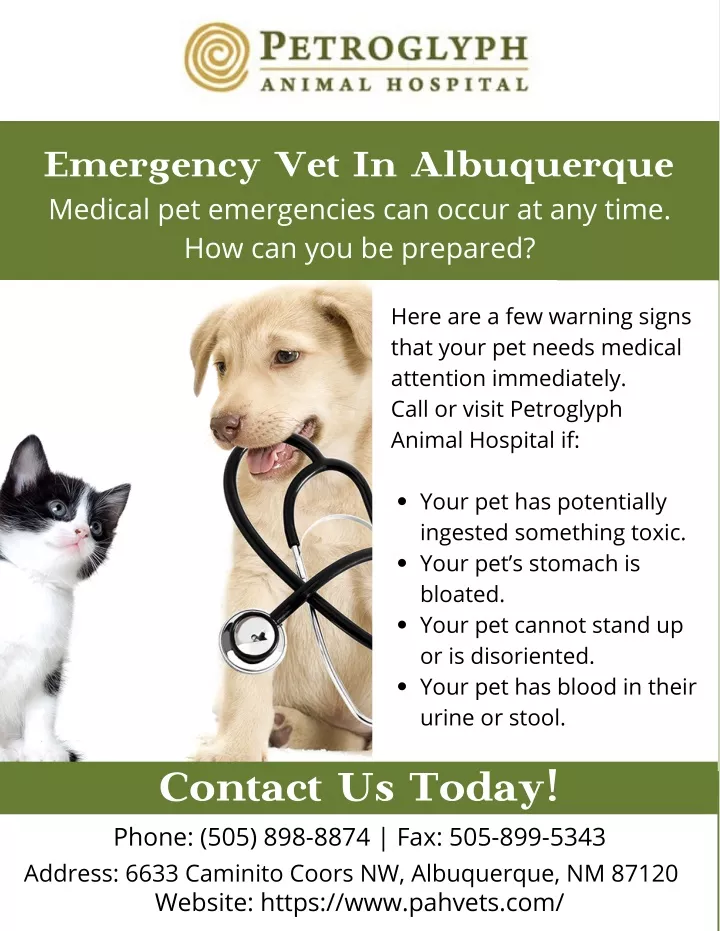 emergenc y vet in albuquerque medical