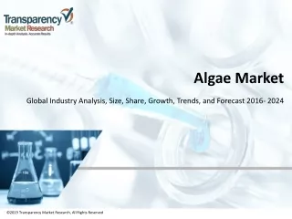 algae market
