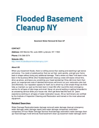Basement Water Removal & Clean UP