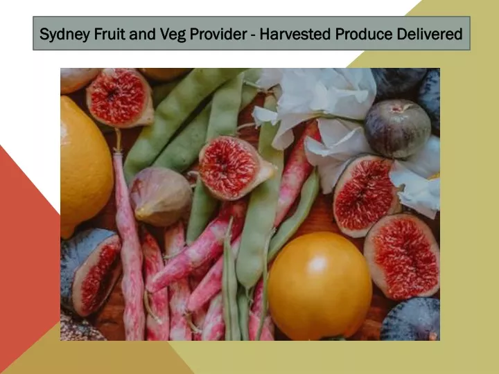 sydney fruit and veg provider harvested produce