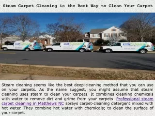steam carpet cleaning is the best way to clean