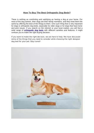 How To Buy The Best Orthopedic Dog Beds