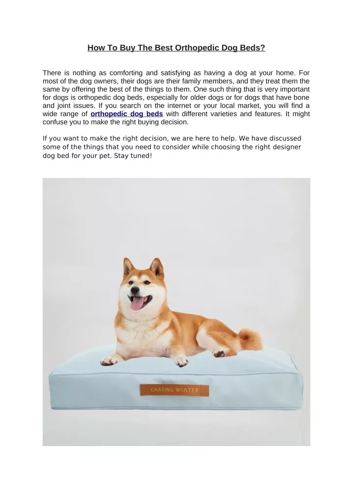 how to buy the best orthopedic dog beds