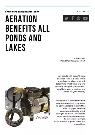 Complete Guides and Tips about Pond Aeration System -SmithCreekFishFarm