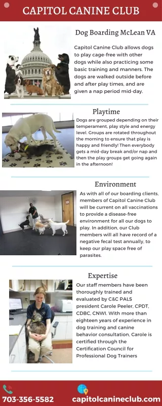 capitol canine club