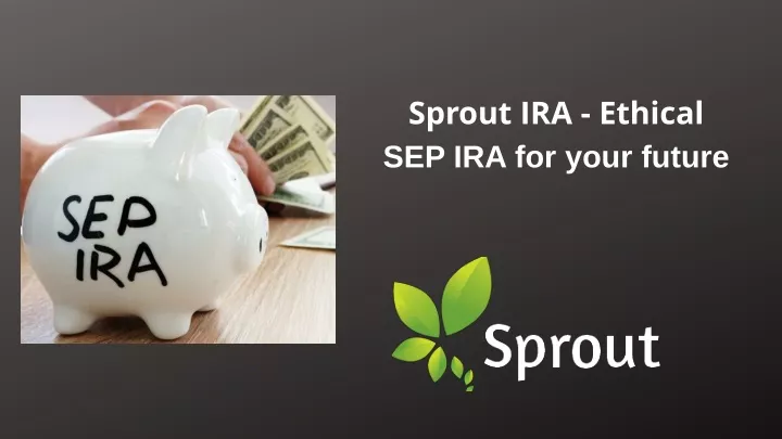 sprout ira ethical sep ira for your future