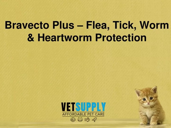 bravecto plus flea tick worm heartworm protection