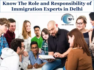 Know The Role and Responsibility of Immigration Experts in Delhi