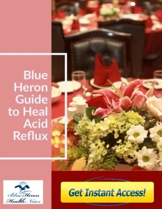 The Acid Reflux Strategy PDF, eBook by Blue Heron Health News