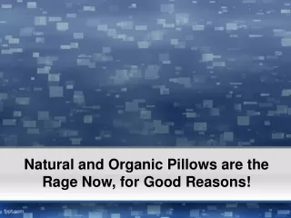 Natural and Organic Pillows