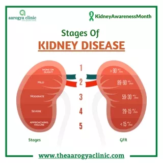 Stages of Kidney Disease | Homeopathy Treatment for Kideny Disease in Vellore