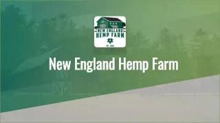 CBD Infused Products Offered By New England Hemp Farm