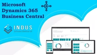 Dynamics 365 business central capabilities - Indus Software Solutions