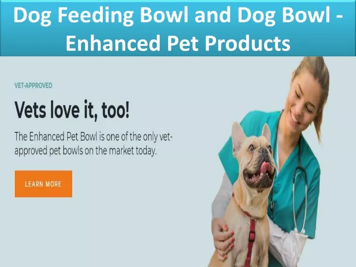 dog feeding bowl and dog bowl enhanced pet products