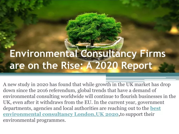 environmental consultancy firms are on the rise a 2020 report