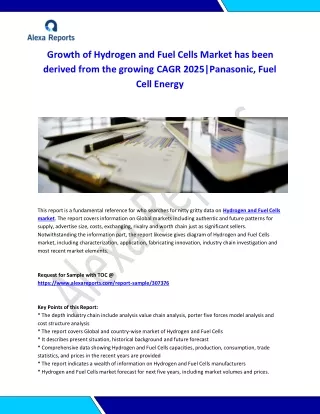 Global Hydrogen and Fuel Cells Market Analysis 2015-2019 and Forecast 2020-2025