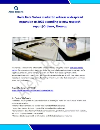 Global Knife Gate Valves Market Analysis 2015-2019 and Forecast 2020-2025