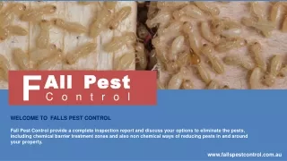 Termite Inspection Penrith - Falls Pest Control