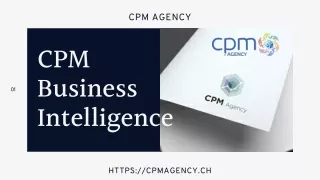 Similitudes entre CPM Business Intelligence - CPM Agency