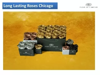 Long lasting roses Chicago