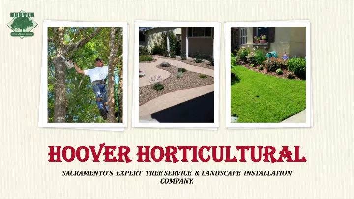 hoover horticultural