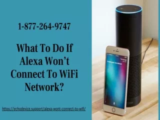 Alexa Won’t Connect to WiFi  1 8772649747 Quick Alexa WiFi Setup Help