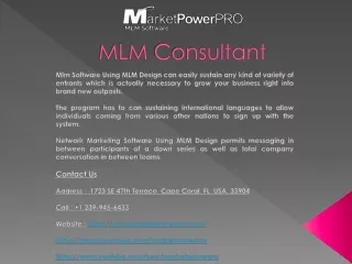 mlm consultant