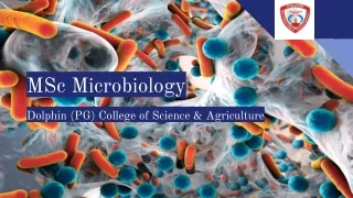 MSc Microbiology