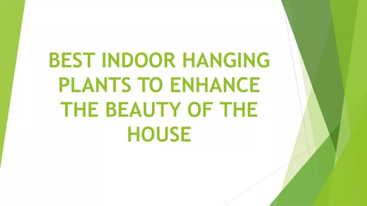 best indoor hanging plants to enhance the beauty of the house