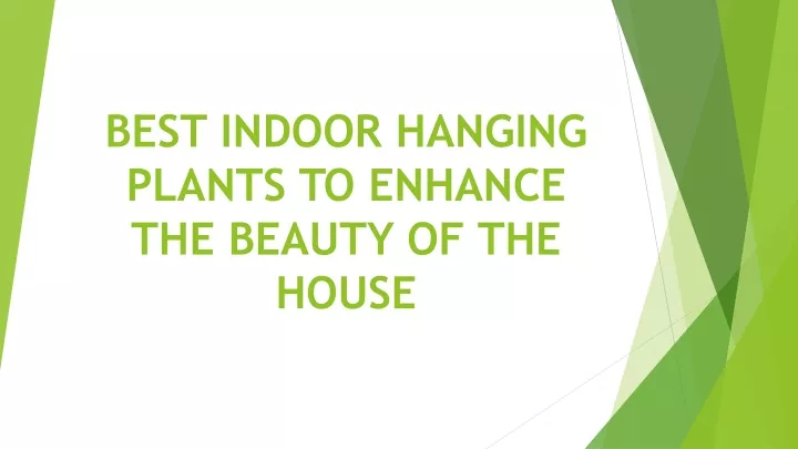 best indoor hanging plants to enhance the beauty